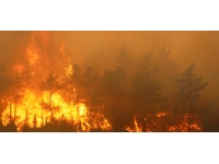 Türkiye’nin birçok ilinde çıkan orman yangınlarıyla mücadele sürüyor