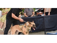 Suçluların korkulu rüyası “süper burun” dedektör köpekler her an göreve hazır