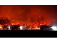 Türkiye’nin ciğerleri yanıyor. Yangınlarla mücadele devam ediyor