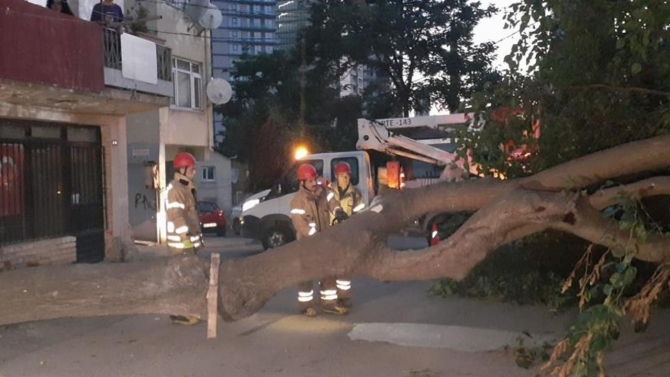İstanbul'da kökünden kopan ağaçlar devrildi, elektrik telleri koptu
