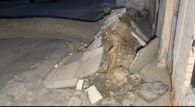 İstanbul'da kökünden kopan ağaçlar devrildi, elektrik telleri koptu