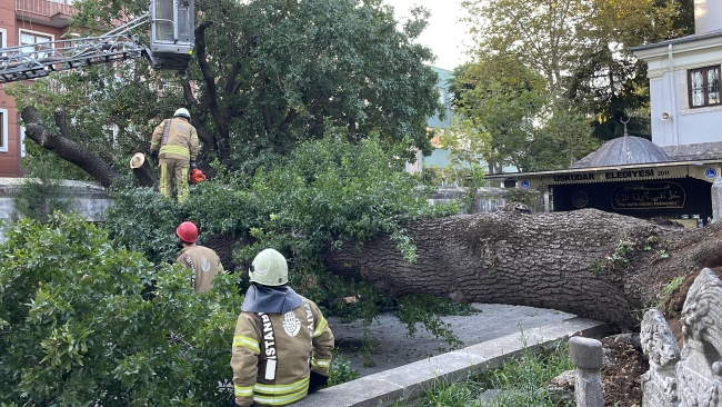 İstanbul'da kökünden kopan ağaçlar devrildi, elektrik telleri koptu