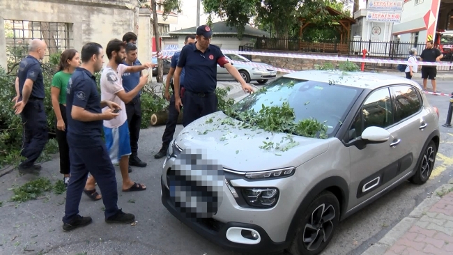 İstanbul'da kökünden kopan ağaçlar devrildi, elektrik telleri koptu