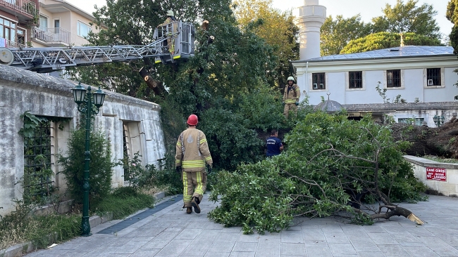 İstanbul'da kökünden kopan ağaçlar devrildi, elektrik telleri koptu