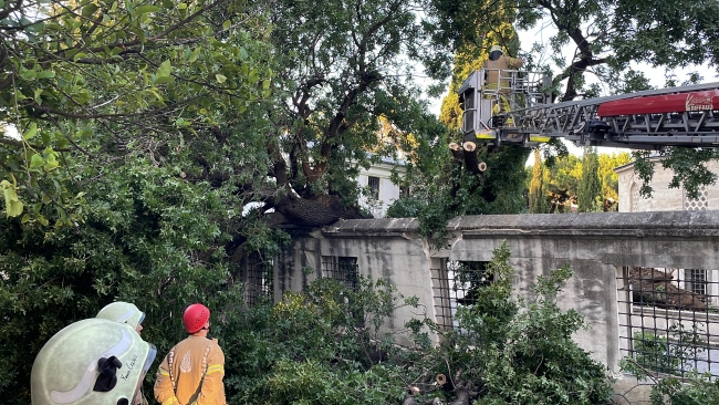 İstanbul'da kökünden kopan ağaçlar devrildi, elektrik telleri koptu