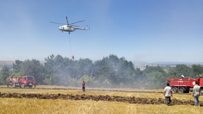 Bursa'da makilik alanda yangın