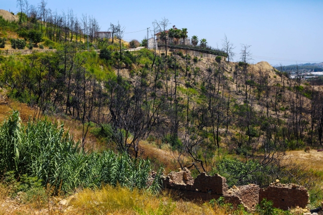 Manavgat'taki orman yangınının üzerinden 1 yıl geçti