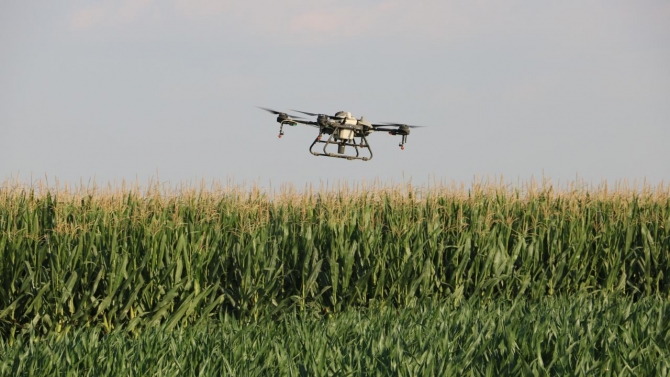 Trakya’da ilaçlanan mısır tarları tırtıllardan temizlendi