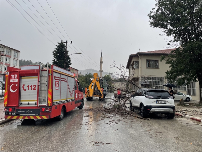 Burdur'da kuvvetli rüzgar ve sağanaktan dolayı ağaçlar devrildi
