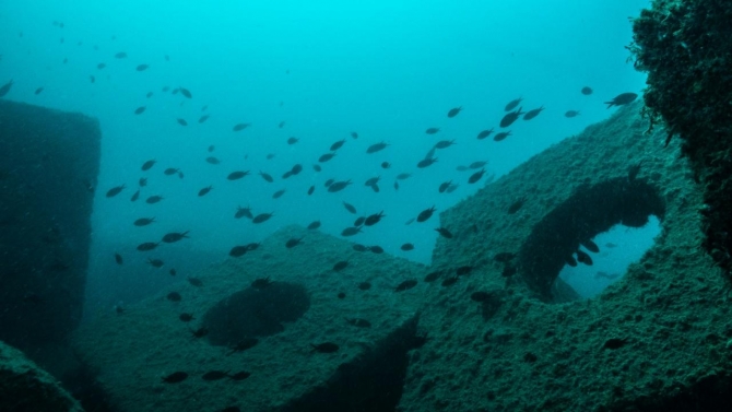 Yapay resif ve balıklandırma çalışmalarıyla sürdürülebilirlik hedefleniyor