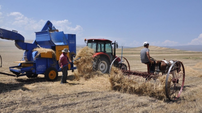 Kars’ta ot biçimi sürüyor