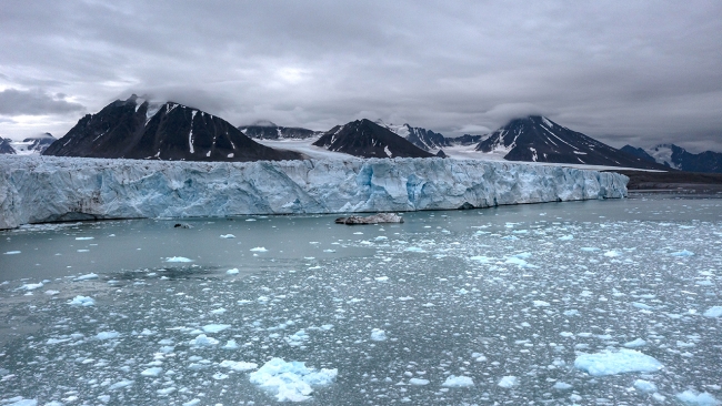Azalan deniz buzu dünya iklimini tehdit ediyor