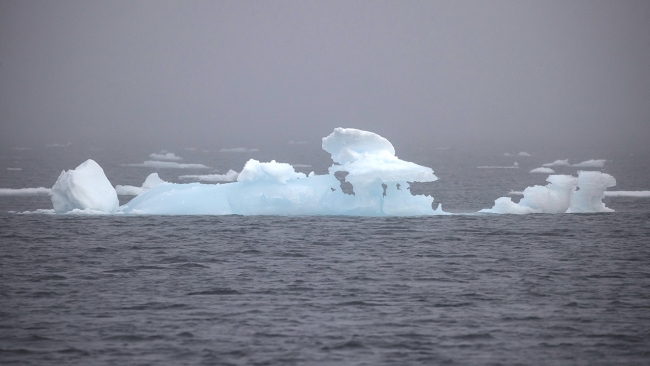 Azalan deniz buzu dünya iklimini tehdit ediyor