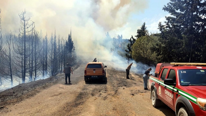 İzmir'de orman yangını