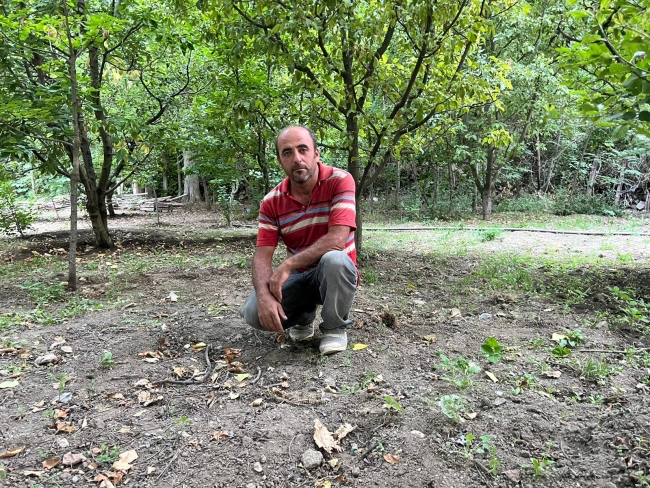 Ayı bahçesine girince kuzeninin evine sığındı