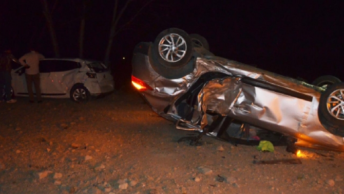 Domuz sürüsü zincirleme kazaya sebep oldu: 8 yaralı