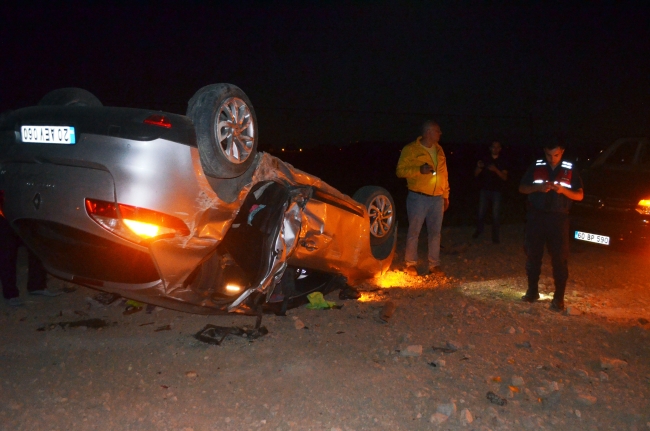 Domuz sürüsü zincirleme kazaya sebep oldu: 8 yaralı