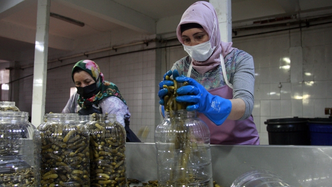 2 bin nüfuslu 'turşucu köyden' 10 milyon liralık ihracat