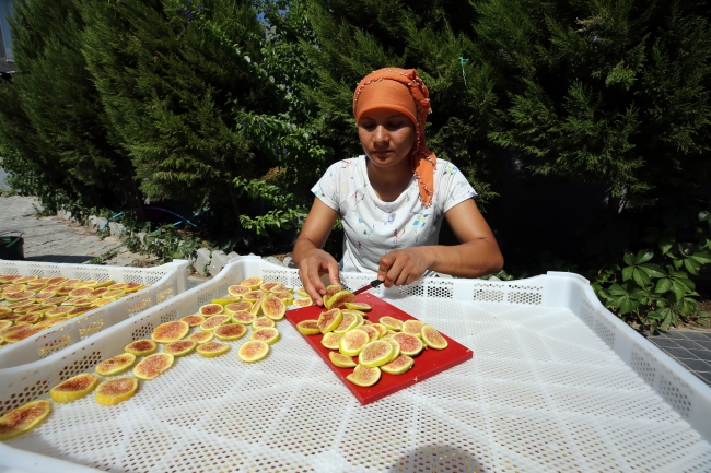 Aydın'da 'incir cipsi' mesaisi başladı
