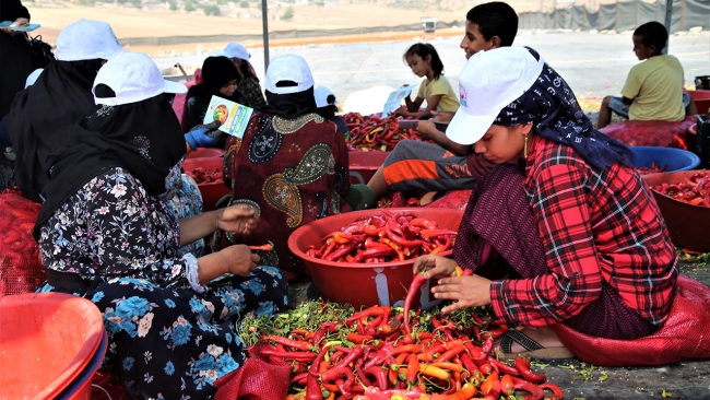 Sıcak havada "acı" mesai