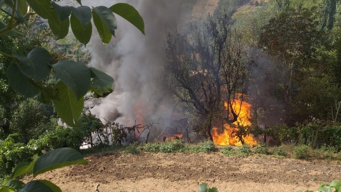 Adana'da yerleşim yeri yakınında çıkan orman yangını söndürüldü