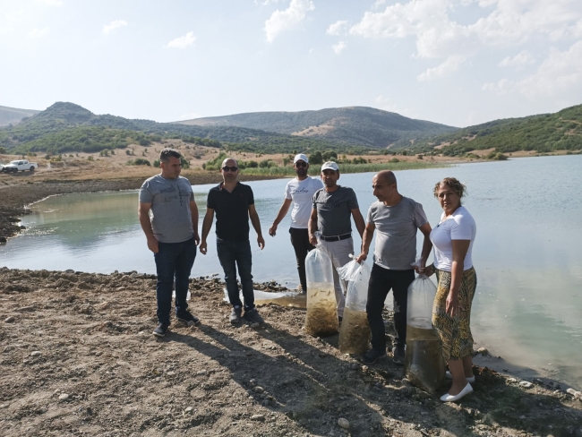 Günboğazı Göleti'ne 100 bin pullu sazan yavrusu bırakıldı