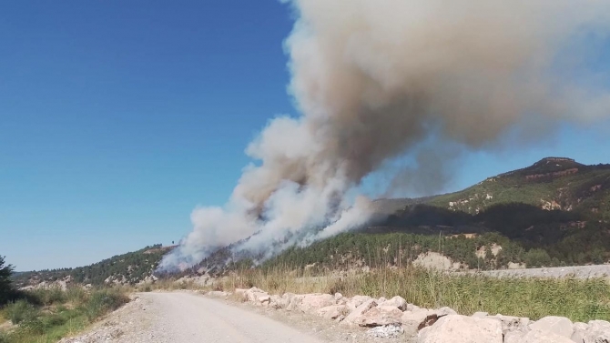 Denizli-Muğla sınırında orman yangını çıktı