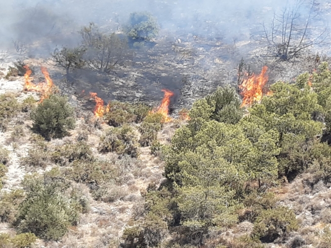 Bakan Oğuz:Yangına anında müdahale edildi ve kontrol altına alındı