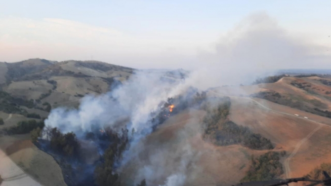 Adana'da orman yangını