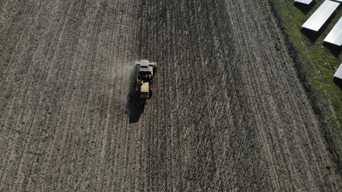 Yağlık ayçiçeği ekim alanını artıran çiftçiler hasattan memnun