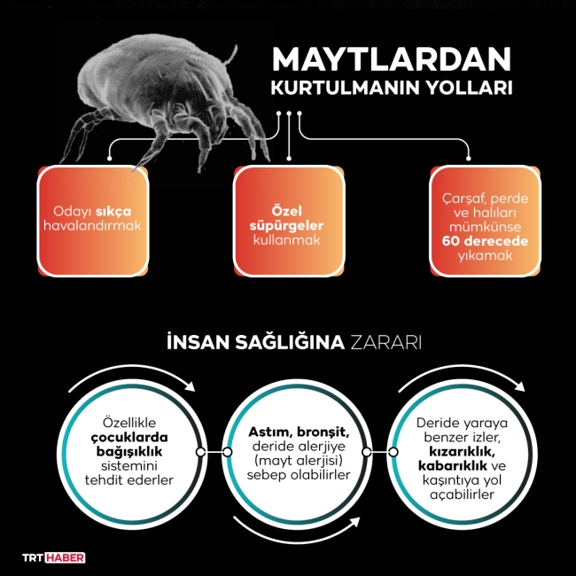 Yaşam alanlarımızdaki tehlike: Maytlar