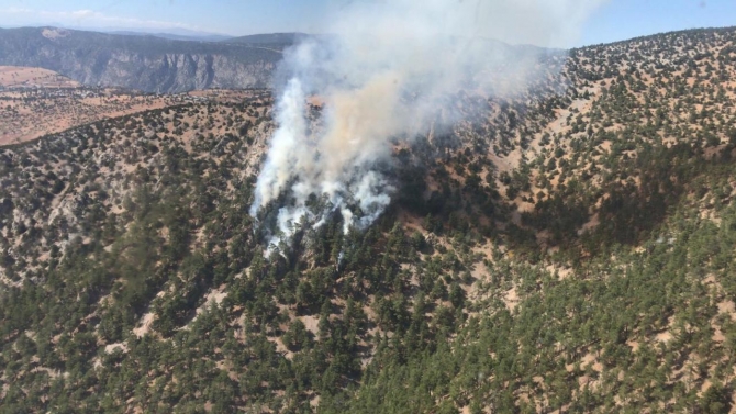 Adana'da orman yangını: Havadan ve karadan müdahale ediliyor