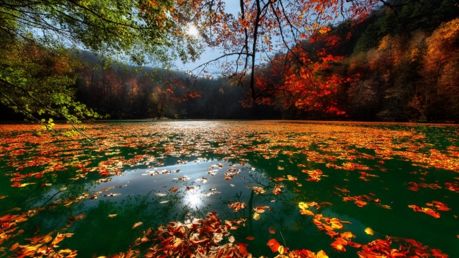Türkiye'nin gizli hazinesi: Korunan alanlar