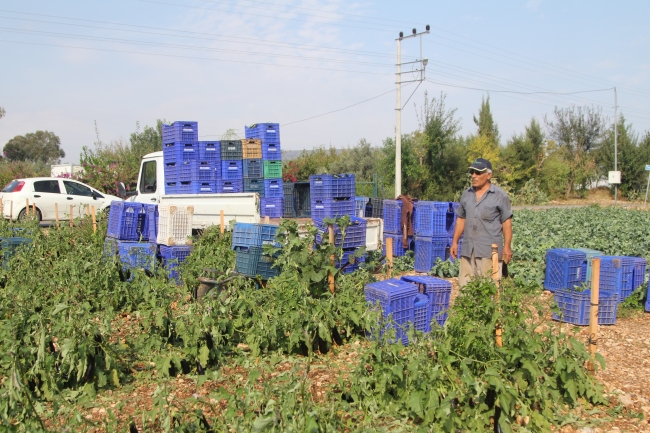Antalya'da tarım alanlarını dolu vurdu