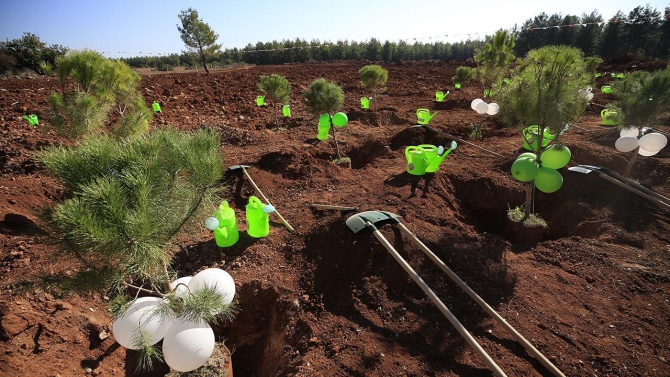 Fidanlar toprakla buluşturuldu