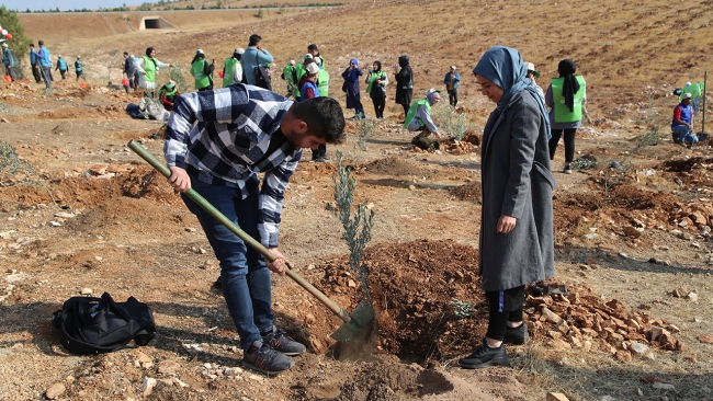Fidanlar toprakla buluşturuldu