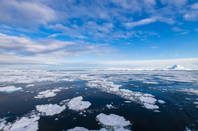 İklim değişikliğiyle yazlar uzuyor kışlar kısalıyor