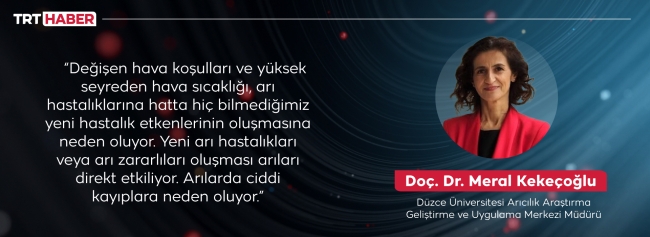 Arılar yalancı bahara aldandı: Bal üretiminde düşüş bekleniyor