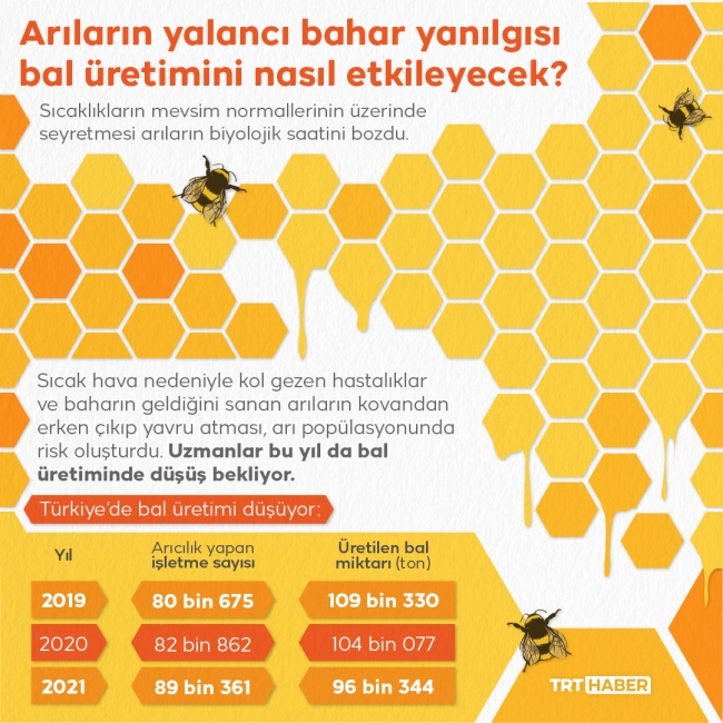 Arılar yalancı bahara aldandı: Bal üretiminde düşüş bekleniyor