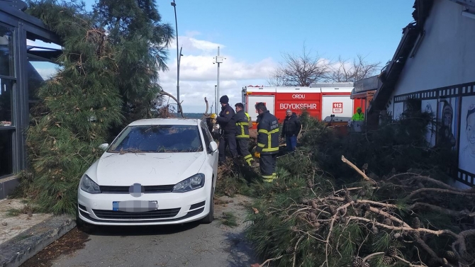 Ordu'da fırtına: Ağaç devrildi, dış cephe kaplaması koptu