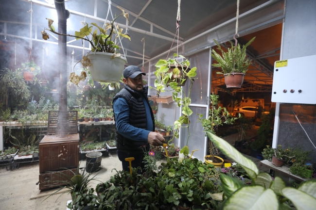 Edirne'de üreticiler "Balkan soğuğuna" karşı seralarda sobalı önlem aldı