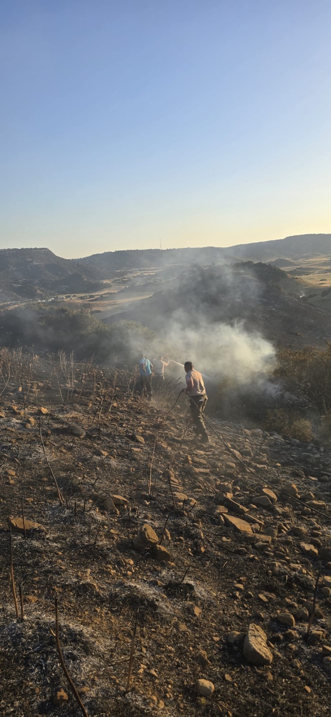 Avtepe-Kuruova köyleri arasında çıkan yangın kontrol altına alındı, Sivil Savunma ekipleri soğutma çalışması yapıyor