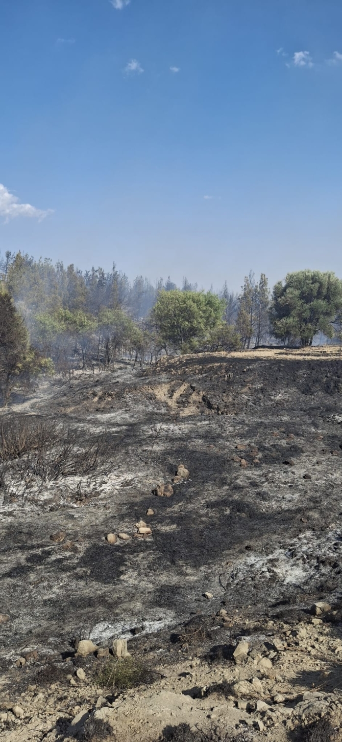 Ergenekon köyündeki yangın söndürüldü..Soğutma çalışmaları sürüyor